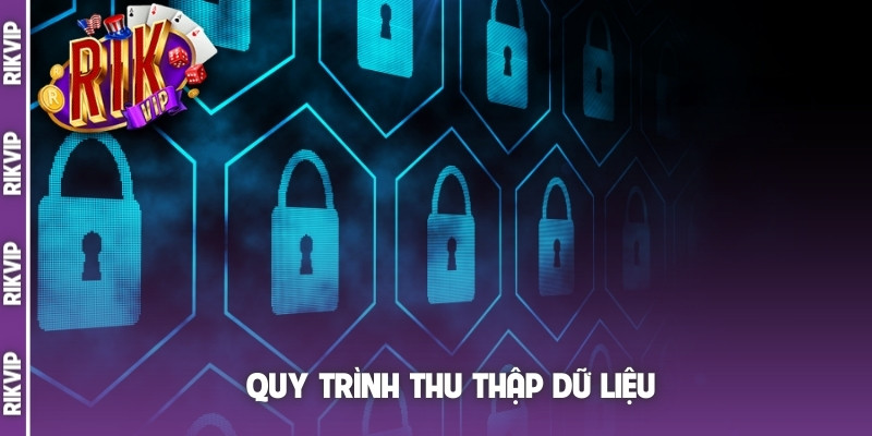 Quy trình thu thập dữ liệu